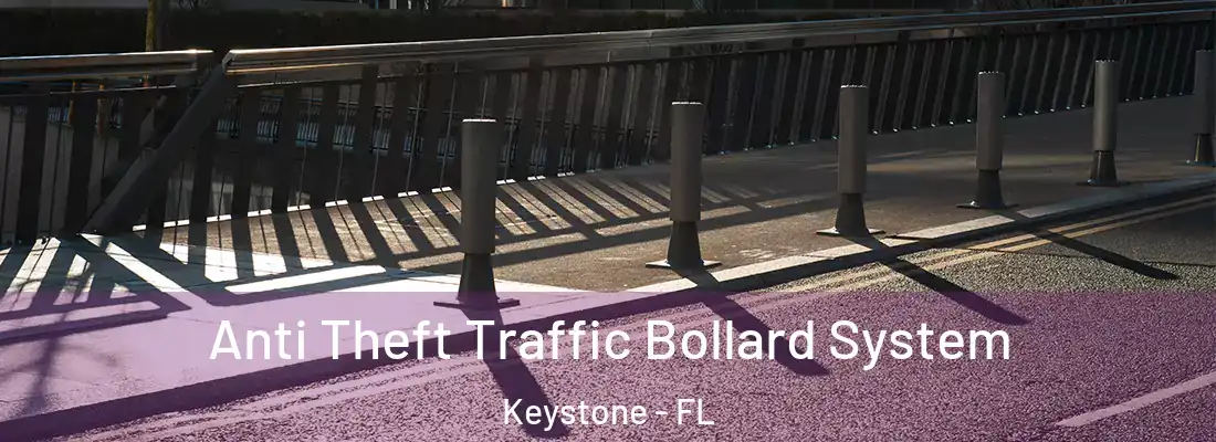 Anti Theft Traffic Bollard System Keystone - FL