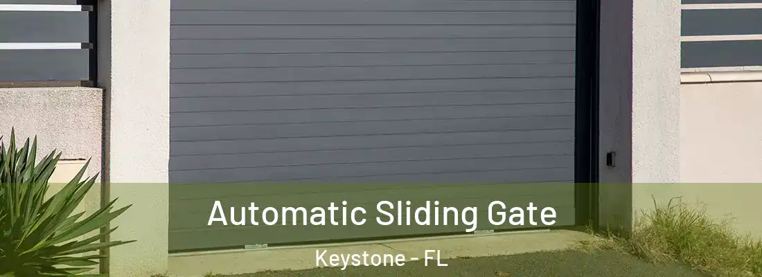 Automatic Sliding Gate Keystone - FL
