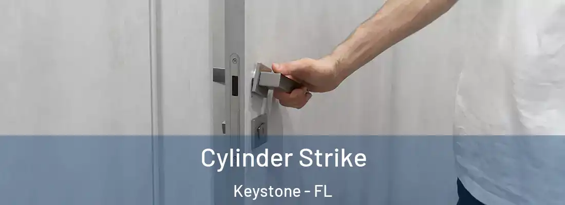 Cylinder Strike Keystone - FL