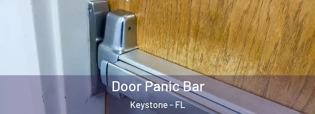 Door Panic Bar Keystone - FL