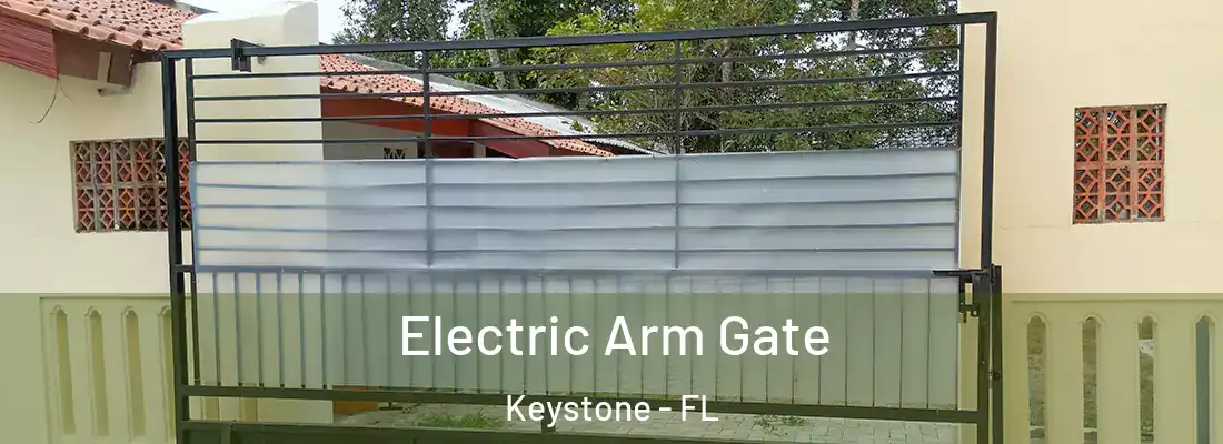 Electric Arm Gate Keystone - FL