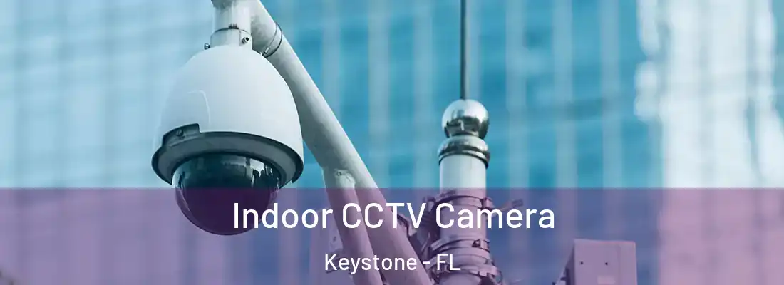 Indoor CCTV Camera Keystone - FL