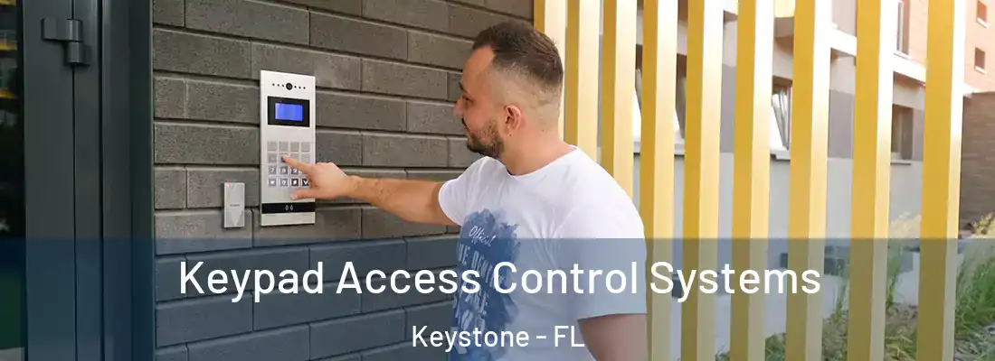 Keypad Access Control Systems Keystone - FL