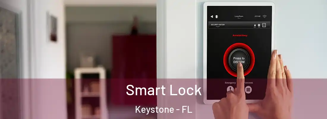  Smart Lock Keystone - FL