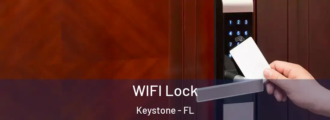  WIFI Lock Keystone - FL